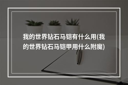 我的世界钻石马铠有什么用(我的世界钻石马铠甲用什么附魔)