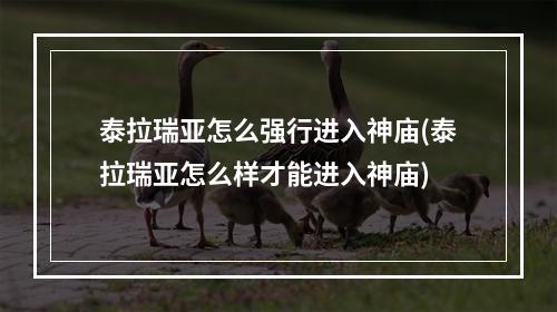 泰拉瑞亚怎么强行进入神庙(泰拉瑞亚怎么样才能进入神庙)