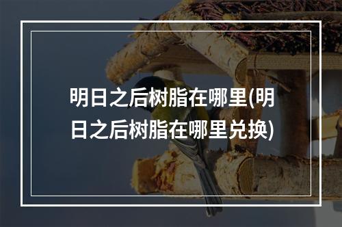 明日之后树脂在哪里(明日之后树脂在哪里兑换)