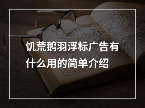 饥荒鹅羽浮标广告有什么用的简单介绍