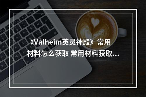 《Valheim英灵神殿》常用材料怎么获取 常用材料获取地点--安卓攻略网