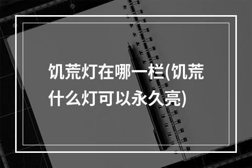 饥荒灯在哪一栏(饥荒什么灯可以永久亮)