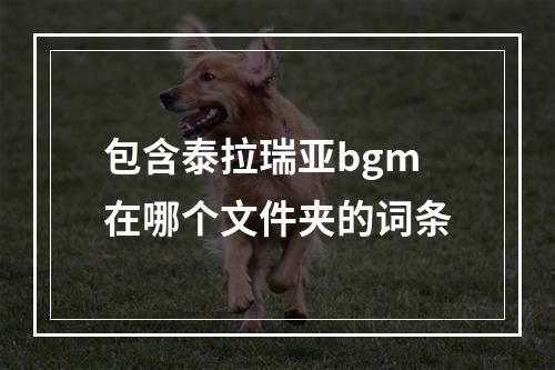 包含泰拉瑞亚bgm在哪个文件夹的词条