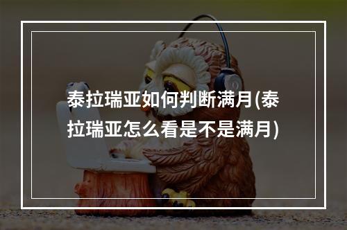 泰拉瑞亚如何判断满月(泰拉瑞亚怎么看是不是满月)