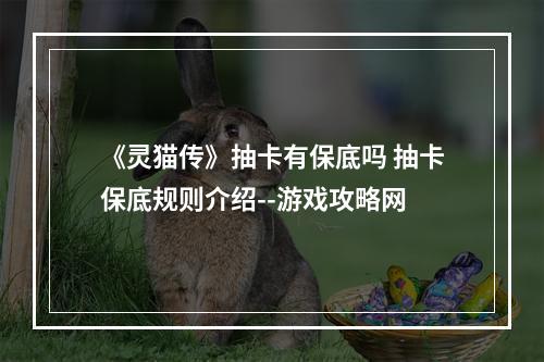 《灵猫传》抽卡有保底吗 抽卡保底规则介绍--游戏攻略网