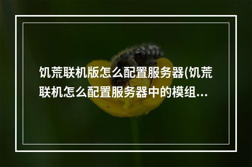 饥荒联机版怎么配置服务器(饥荒联机怎么配置服务器中的模组)