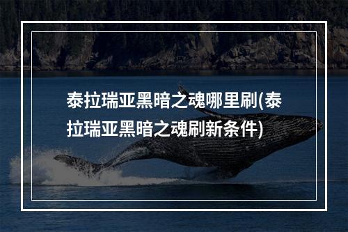 泰拉瑞亚黑暗之魂哪里刷(泰拉瑞亚黑暗之魂刷新条件)