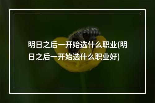 明日之后一开始选什么职业(明日之后一开始选什么职业好)