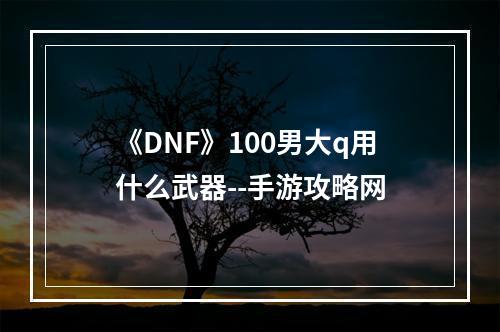 《DNF》100男大q用什么武器--手游攻略网