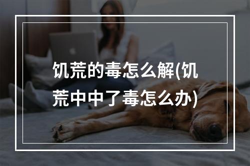 饥荒的毒怎么解(饥荒中中了毒怎么办)