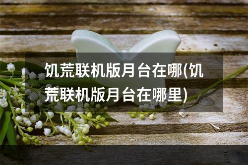 饥荒联机版月台在哪(饥荒联机版月台在哪里)