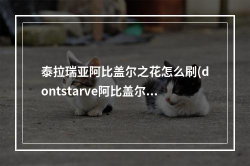 泰拉瑞亚阿比盖尔之花怎么刷(dontstarve阿比盖尔之花)