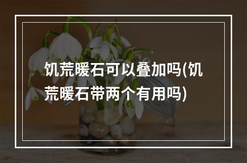 饥荒暖石可以叠加吗(饥荒暖石带两个有用吗)