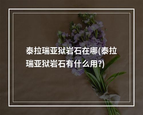 泰拉瑞亚狱岩石在哪(泰拉瑞亚狱岩石有什么用?)