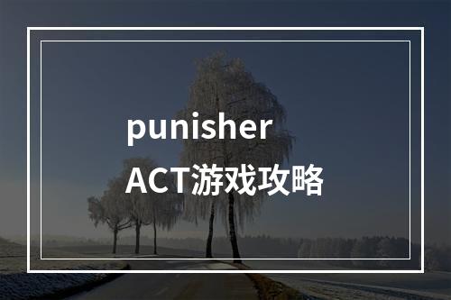 punisherACT游戏攻略