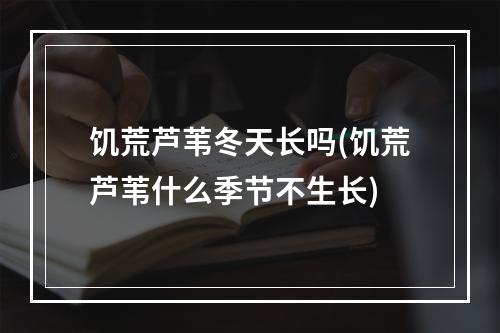 饥荒芦苇冬天长吗(饥荒芦苇什么季节不生长)