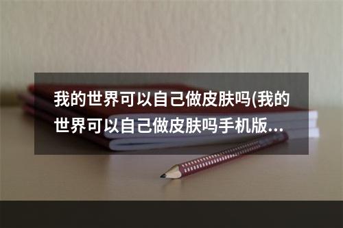 我的世界可以自己做皮肤吗(我的世界可以自己做皮肤吗手机版)