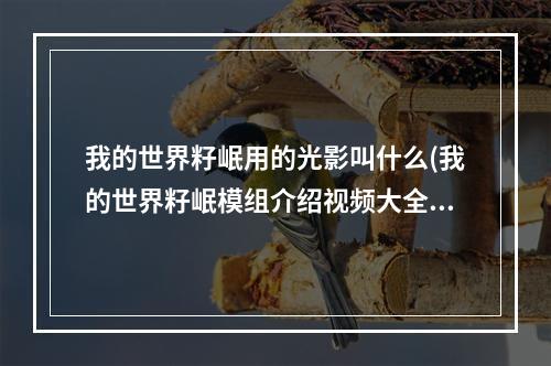 我的世界籽岷用的光影叫什么(我的世界籽岷模组介绍视频大全)