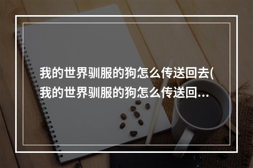 我的世界驯服的狗怎么传送回去(我的世界驯服的狗怎么传送回去了)