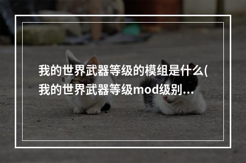 我的世界武器等级的模组是什么(我的世界武器等级mod级别划分)