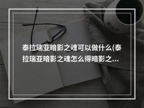 泰拉瑞亚暗影之魂可以做什么(泰拉瑞亚暗影之魂怎么得暗影之魂用途介绍)