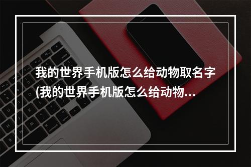 我的世界手机版怎么给动物取名字(我的世界手机版怎么给动物取名字呢)