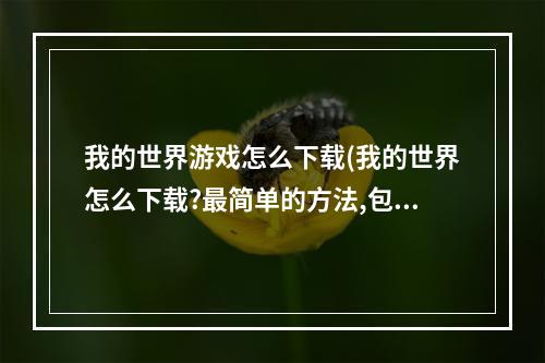 我的世界游戏怎么下载(我的世界怎么下载?最简单的方法,包教包会)