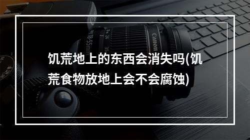 饥荒地上的东西会消失吗(饥荒食物放地上会不会腐蚀)