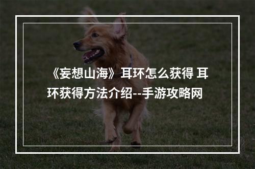 《妄想山海》耳环怎么获得 耳环获得方法介绍--手游攻略网