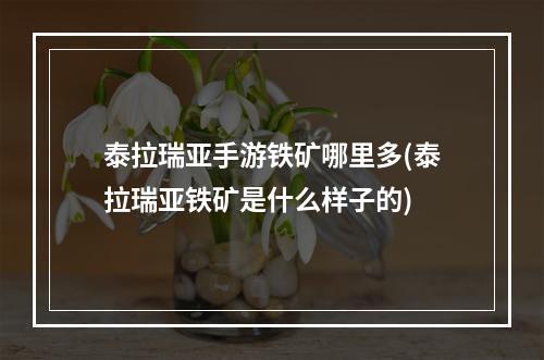 泰拉瑞亚手游铁矿哪里多(泰拉瑞亚铁矿是什么样子的)