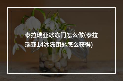 泰拉瑞亚冰冻门怎么做(泰拉瑞亚14冰冻钥匙怎么获得)