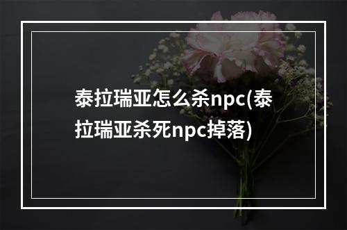 泰拉瑞亚怎么杀npc(泰拉瑞亚杀死npc掉落)