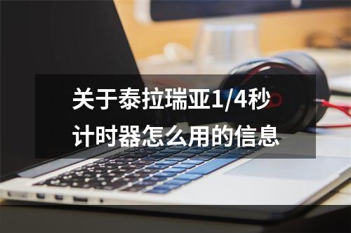 关于泰拉瑞亚1/4秒计时器怎么用的信息