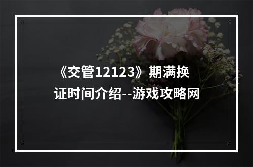 《交管12123》期满换证时间介绍--游戏攻略网