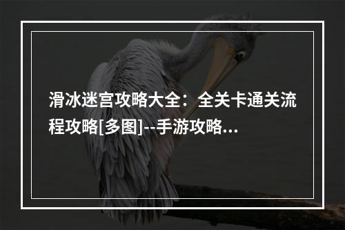 滑冰迷宫攻略大全：全关卡通关流程攻略[多图]--手游攻略网