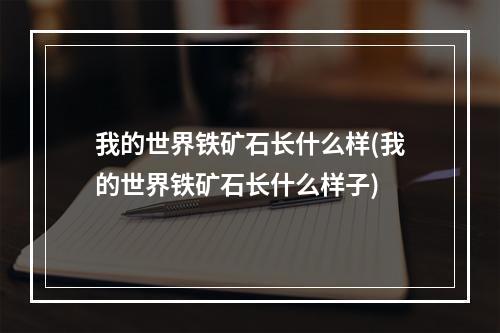 我的世界铁矿石长什么样(我的世界铁矿石长什么样子)