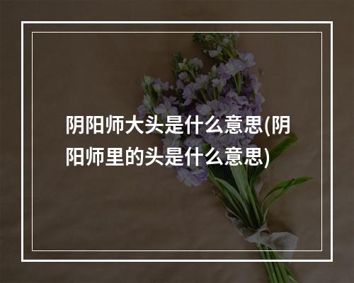 阴阳师大头是什么意思(阴阳师里的头是什么意思)