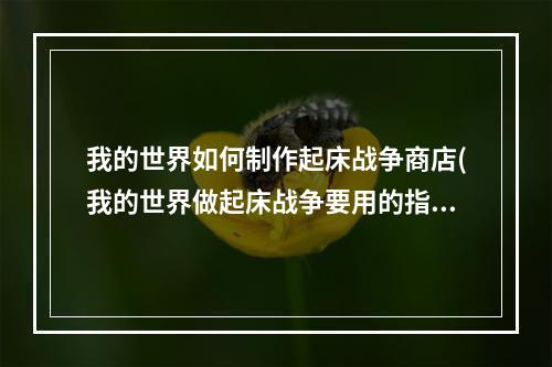 我的世界如何制作起床战争商店(我的世界做起床战争要用的指令有哪些)