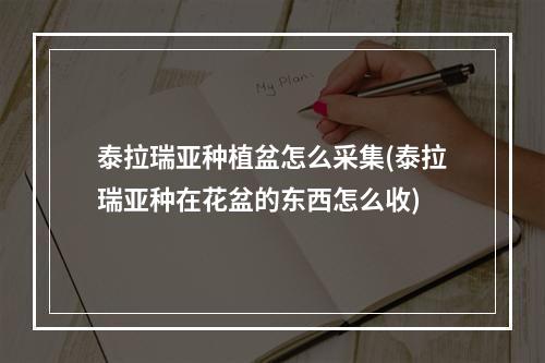 泰拉瑞亚种植盆怎么采集(泰拉瑞亚种在花盆的东西怎么收)