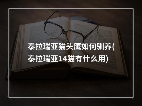 泰拉瑞亚猫头鹰如何驯养(泰拉瑞亚14猫有什么用)