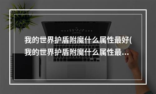 我的世界护盾附魔什么属性最好(我的世界护盾附魔什么属性最好用)