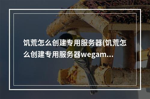 饥荒怎么创建专用服务器(饥荒怎么创建专用服务器wegame)