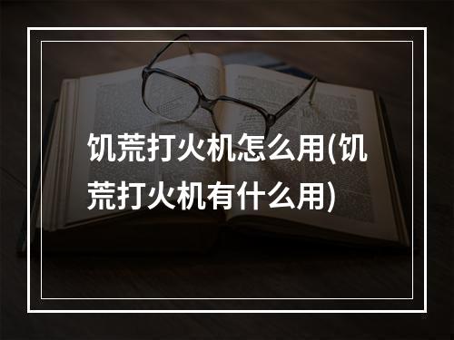 饥荒打火机怎么用(饥荒打火机有什么用)