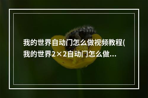 我的世界自动门怎么做视频教程(我的世界2×2自动门怎么做视频教程)