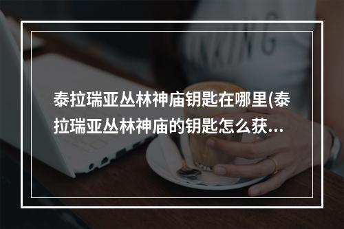 泰拉瑞亚丛林神庙钥匙在哪里(泰拉瑞亚丛林神庙的钥匙怎么获得)