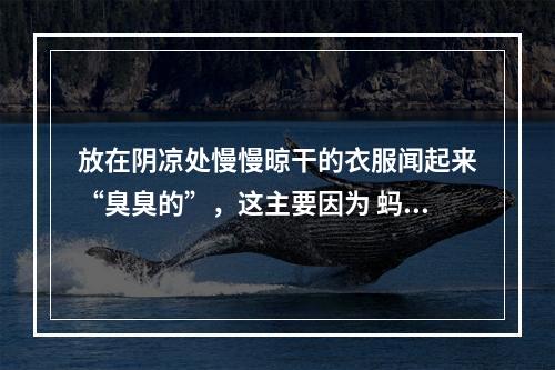 放在阴凉处慢慢晾干的衣服闻起来“臭臭的”，这主要因为 蚂蚁庄园今日答案早知道5月9日--安卓攻略网