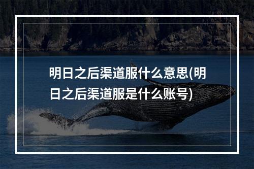 明日之后渠道服什么意思(明日之后渠道服是什么账号)