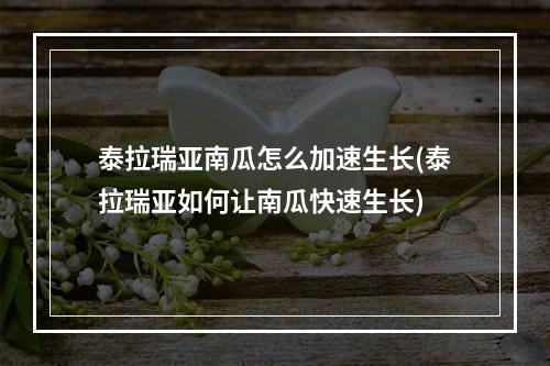 泰拉瑞亚南瓜怎么加速生长(泰拉瑞亚如何让南瓜快速生长)