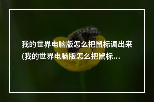 我的世界电脑版怎么把鼠标调出来(我的世界电脑版怎么把鼠标调出来啊)