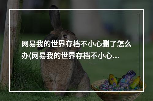 网易我的世界存档不小心删了怎么办(网易我的世界存档不小心删了怎么办呢)